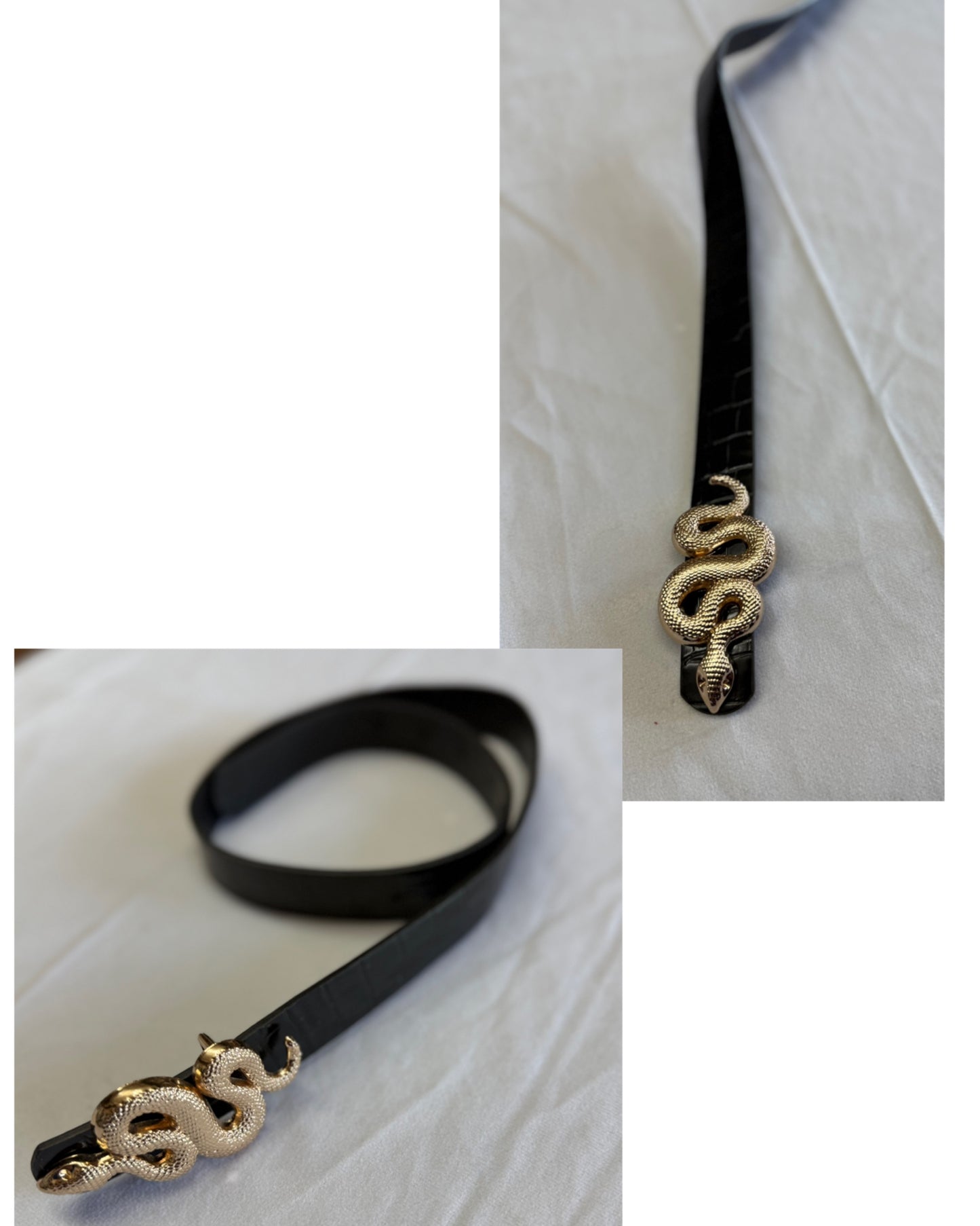 Snake belt