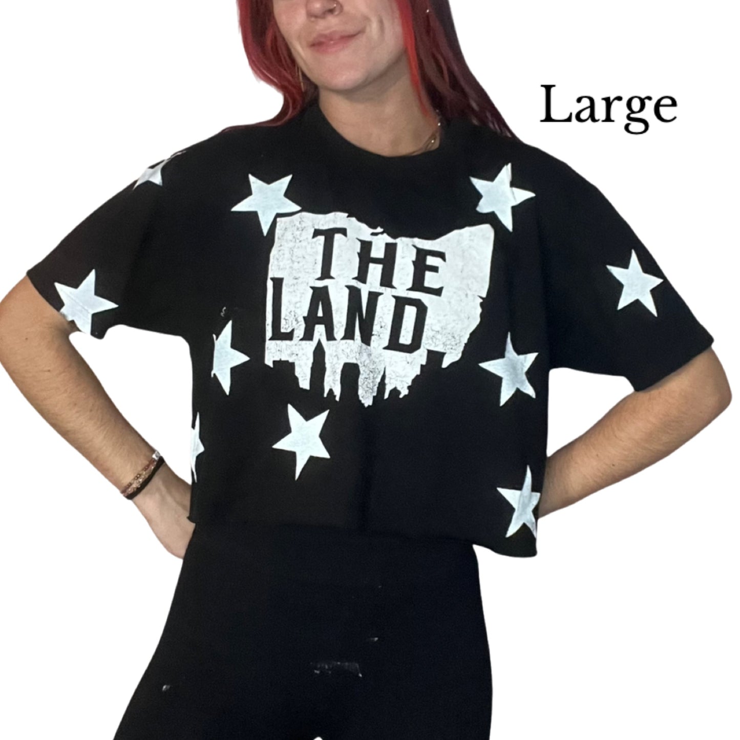 The Land Star tee