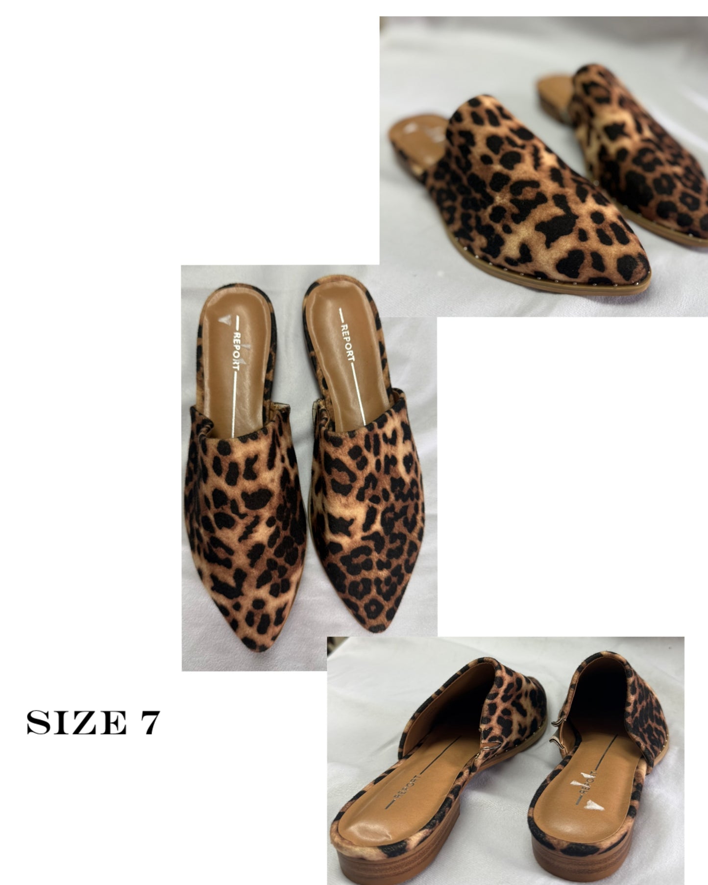 Leopard slides