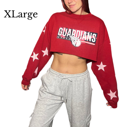Guardians Star sleeve sweater