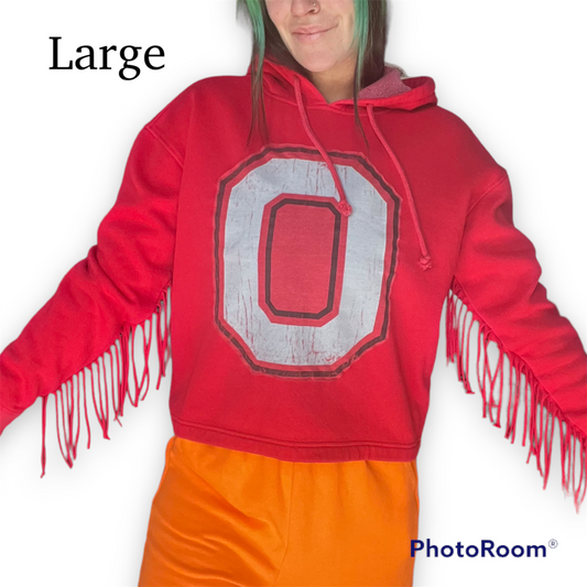 Ohio State hoodie