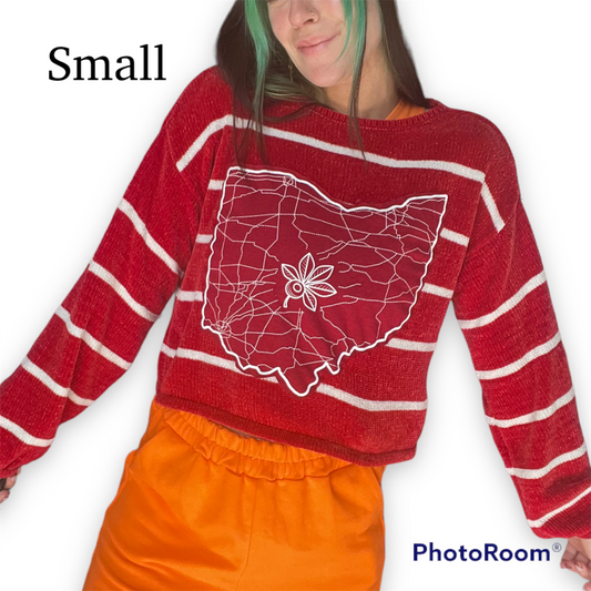 Ohio State sweater